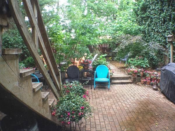View from kitchen door..