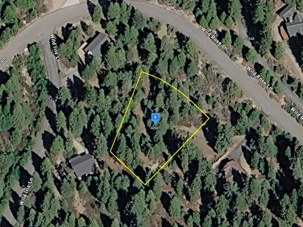 40541 Wild Rose Ln, Shaver Lake, CA 93664