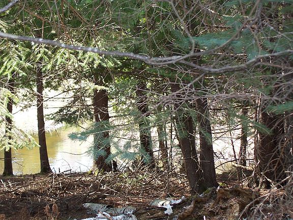 5th image of Trout Ln