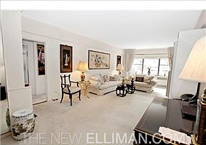 5th image of 25 Sutton Pl S APT 15A