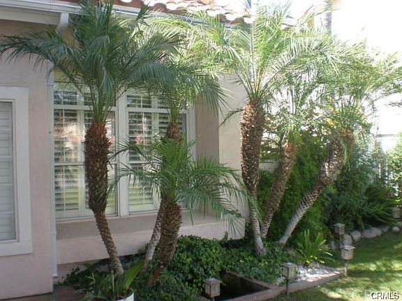 4th image of 7354 Yellow Jasmine Dr