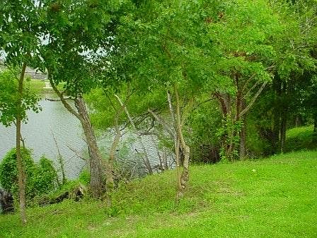 3rd image of 7715 Omaha Dr