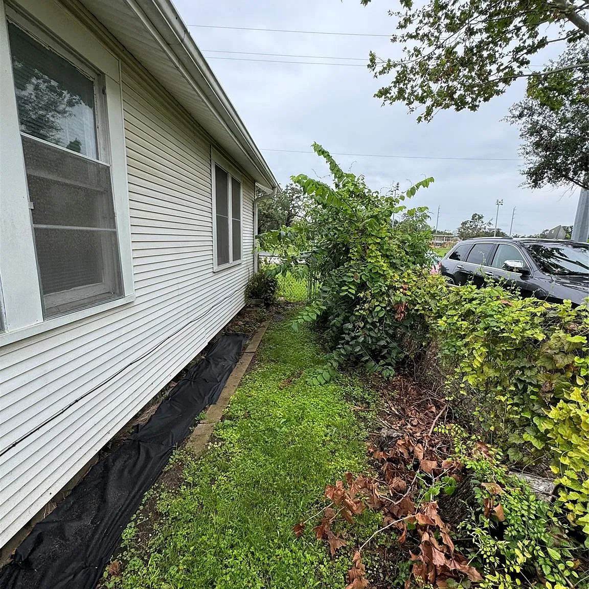 2 bed, 1.0 bath, 1100 sqft, $1,600 — Photo 4