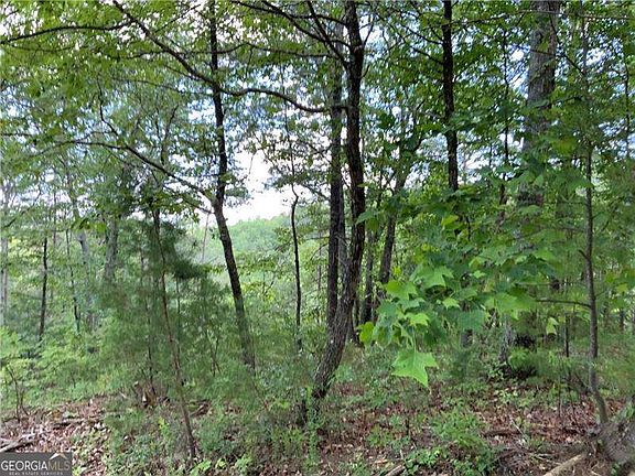 5th image of 1335 Birch Ln