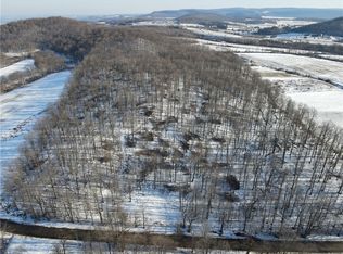 0 Hoyer Rd, Cherry Valley, NY 13320