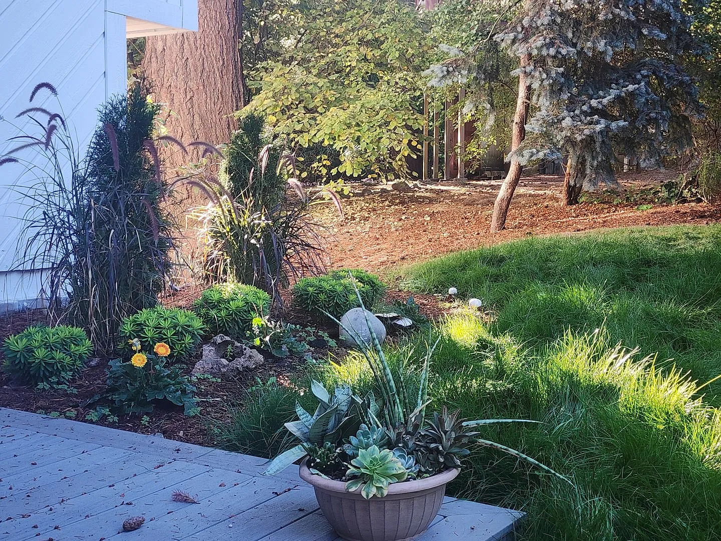 Beautifully Remodeled Split-level Home in Tualatin's Martinazzi Woods Neighborhood — Photo 4