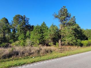 LOT 1 Tinker Creek Rd, Williston, SC 29853