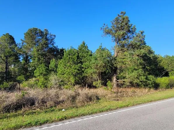 LOT 1 Tinker Creek Rd, Williston, SC 29853