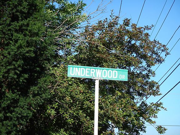 5th image of 30728 Underwood Dr
