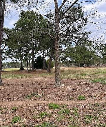 3rd image of 19792 Rada Rd