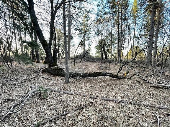 4th image of Donkey Mine And Madison Rd
