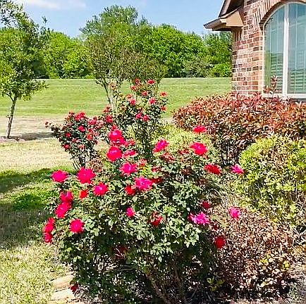 2nd image of 2450 Flowering Brook Ln