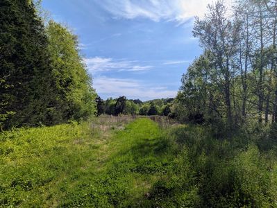 0 Ladd Springs Rd, Old Fort, TN, 37362