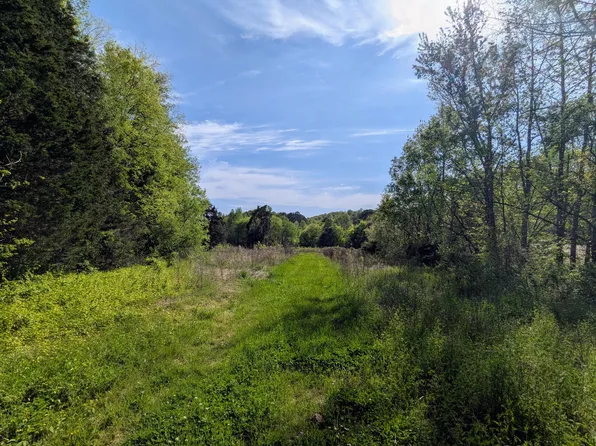 0 Ladd Springs Rd, Old Fort, TN 37362