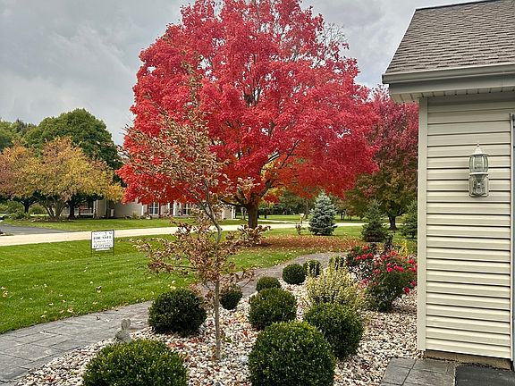 3rd image of 1309 Acorn Dr