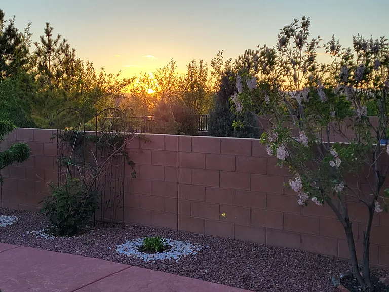 4680 Hojas Verdes — Photo 40