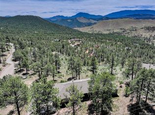30236 Zurich Drive, Pine, CO 80470