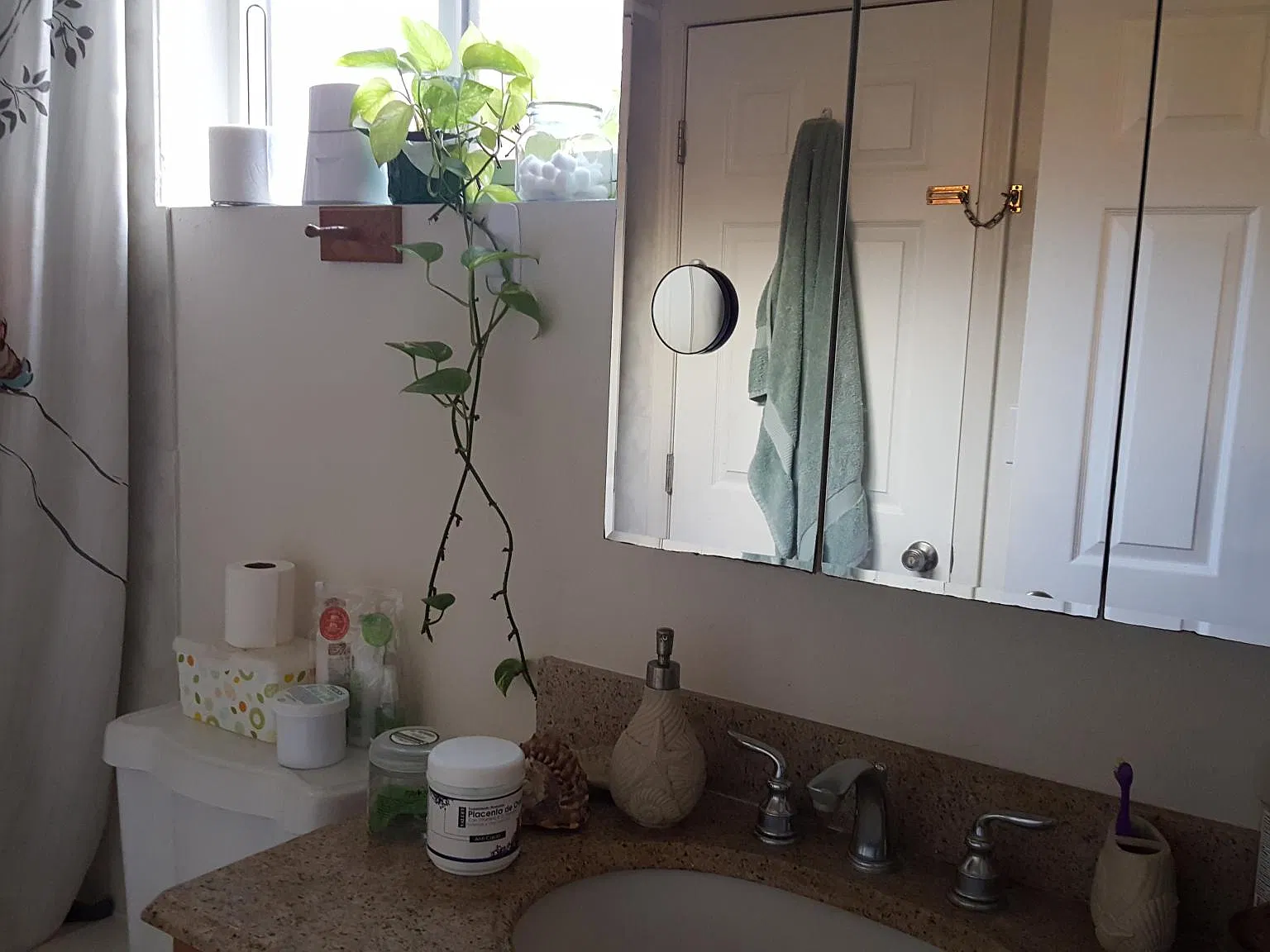 2 bed, 800 sqft, $2,700 — Photo 3