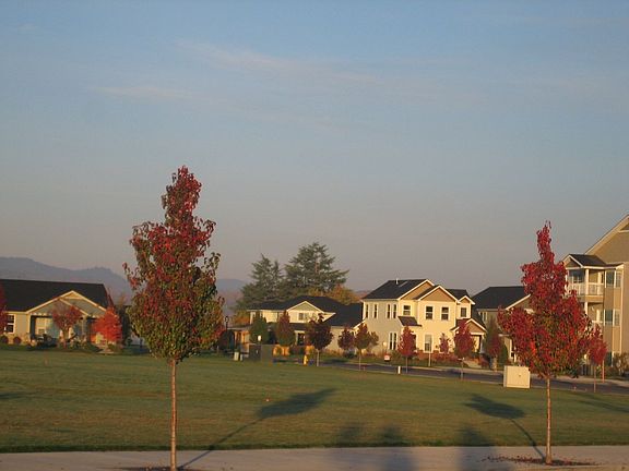 View Across the Park