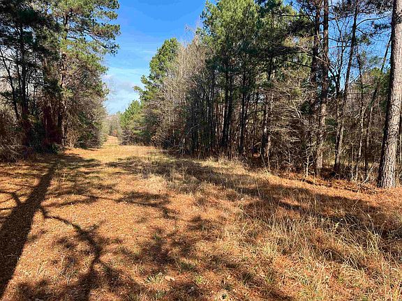 2nd image of County Road 331