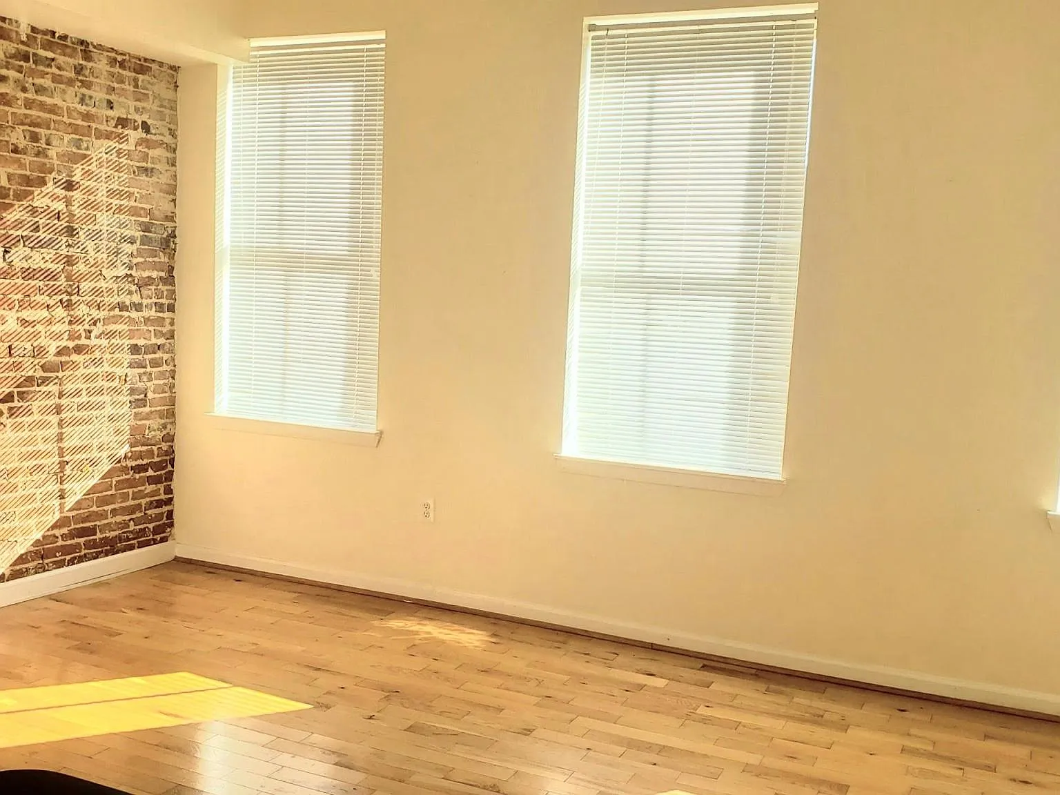 2 bed, 1000 sqft, $1,500 — Photo 4