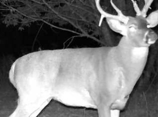 0 Lawrence #2130, Stotts City, MO 65756