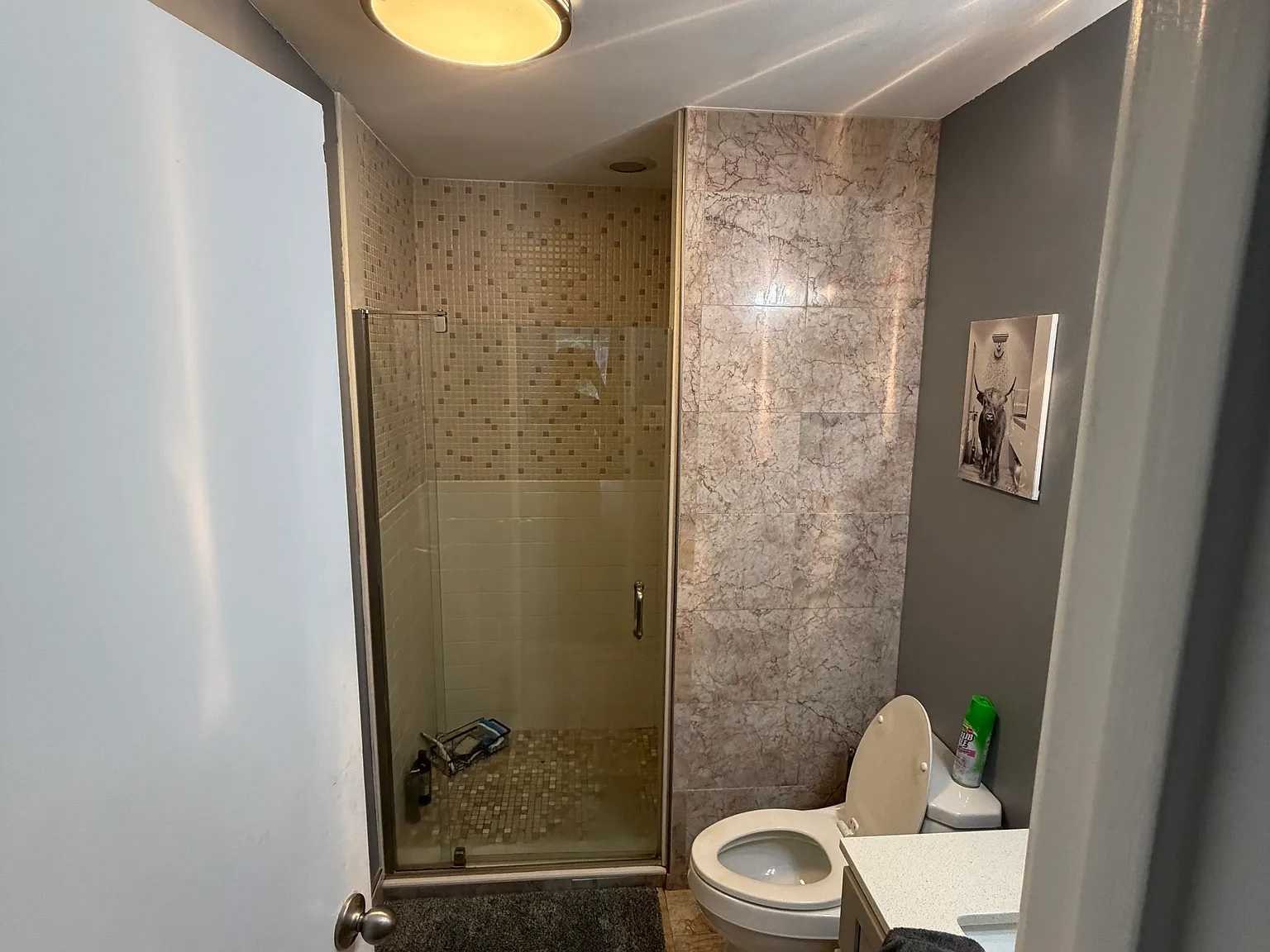 2 bed, 1302 sqft, $2,200 — Photo 2