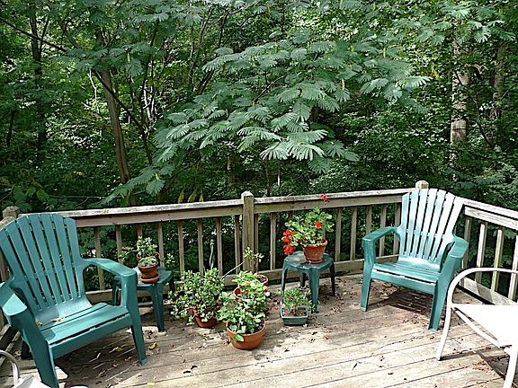 Deck overlooking Park