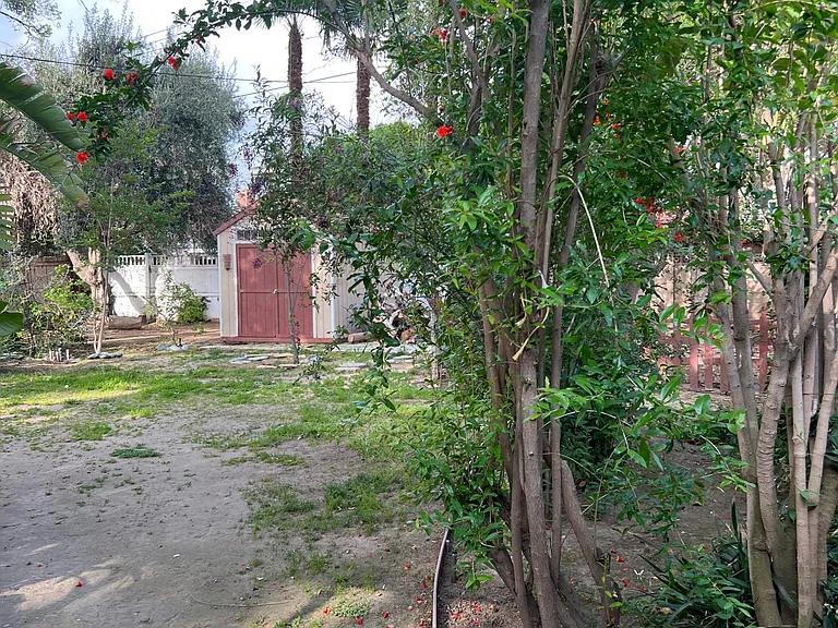 6601 N Louise Ave — Photo 14