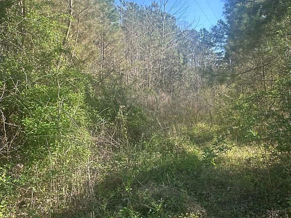 2nd image of 263 Humphrey Rd