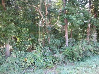 1st image of 2060 Rockdale Cir