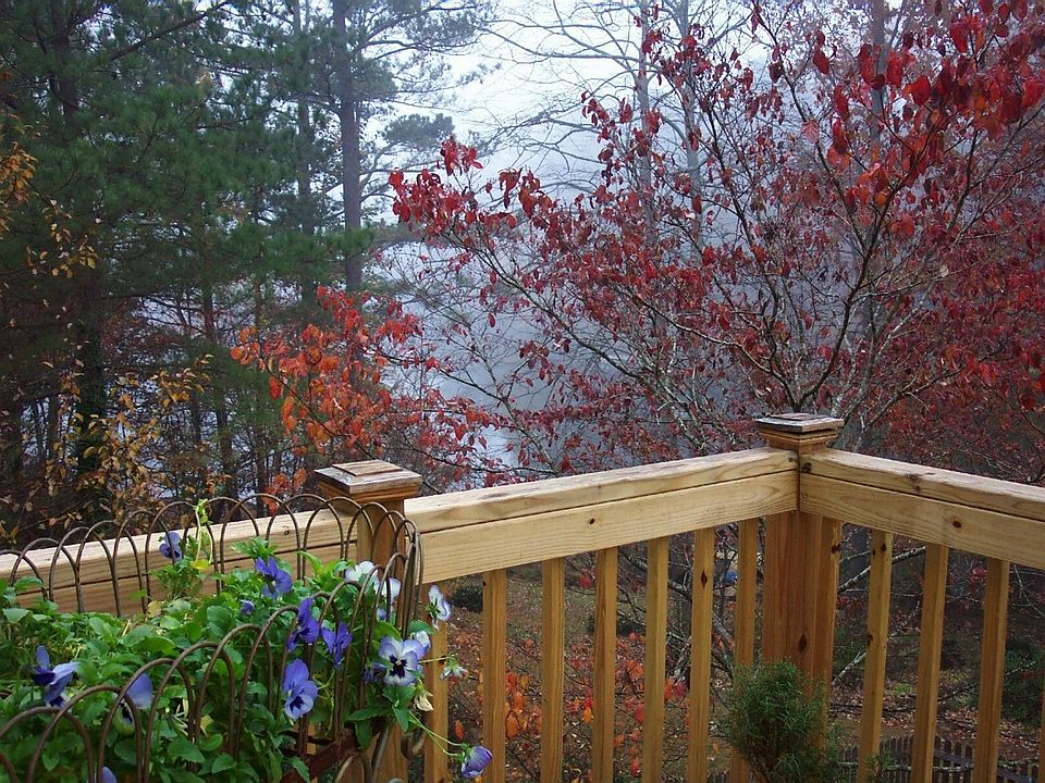 Back Yard - Fall