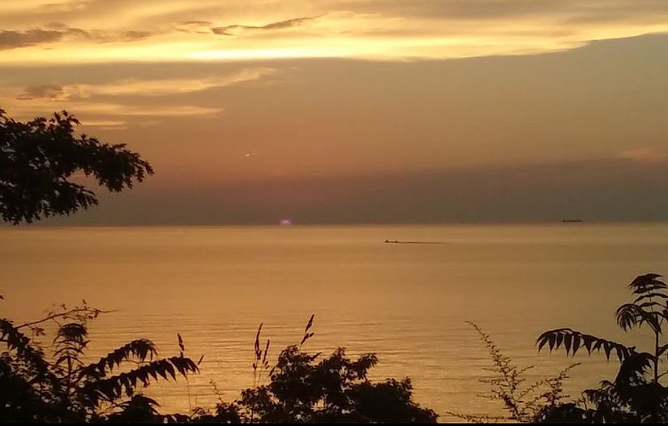 View from Tuttle Park 