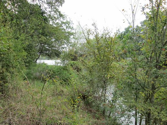 3rd image of 2082 Carter Lake Dr