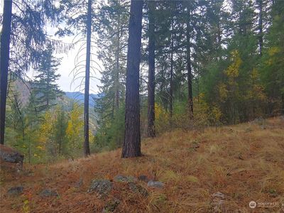 0 NNA Ingalls Creek, Peshastin, WA, 98847