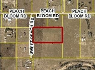 11150 Sweet Peach Rd, Brooksville, FL 34614