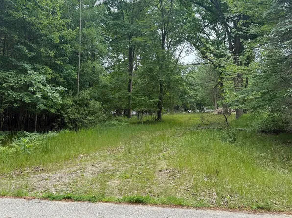 1013 Madrid Ln, Weidman, MI 48893