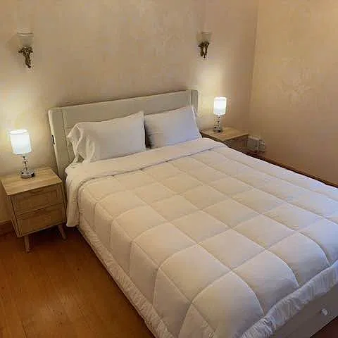 1 bed, 1300 sqft, $2,000 — Photo 4