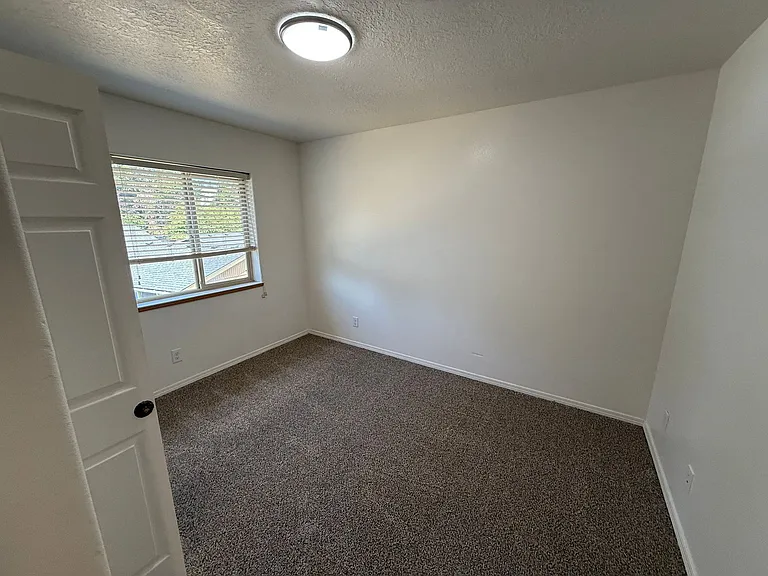 The Firs Apartments — Photo 65