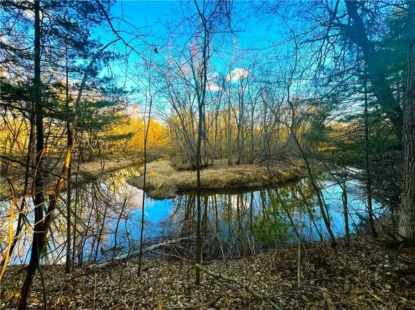20 Acres Thornapple Road, Ladysmith, WI 54848