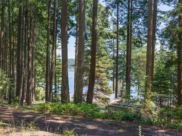 0 Captain Leison Lane, Lopez Island, WA 98261