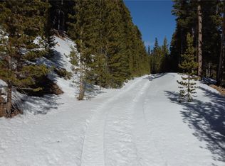 LOT 817 Harris Dr, Idaho Springs, CO 80452