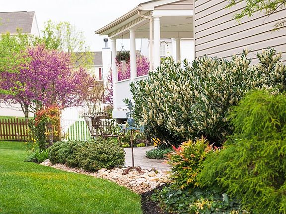 Side Patio and walk way