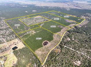 0 County Road 4415, Spurger, TX 77660