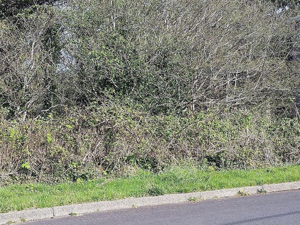 2nd image of 4626 SW Coast Ave