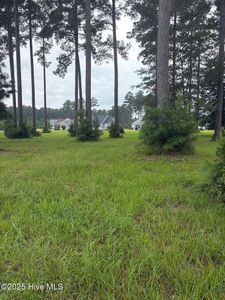 2808 Waterleaf Point, New Bern, NC, 28562