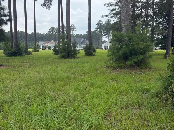 2808 Waterleaf Point, New Bern, NC 28562