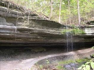1625 Skaggs Hollow Rd, Jane, MO 64856