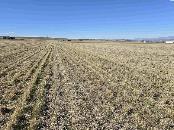 3rd image of 50411 S C Williams Rd