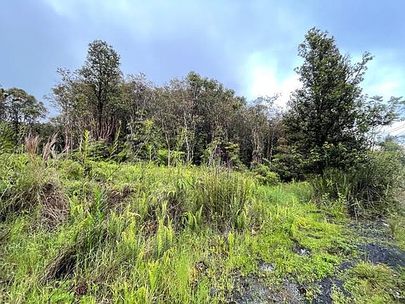 3rd image of 18-4196 Mauna Loa Dr Lot 825